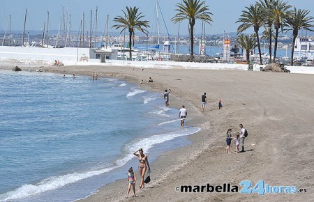 Denuncian la desaparición de lapas ferrugíneas en una playa de Marbella 