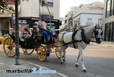 Marbella reabre con la nueva ordenanza la polémica de los coches de caballos