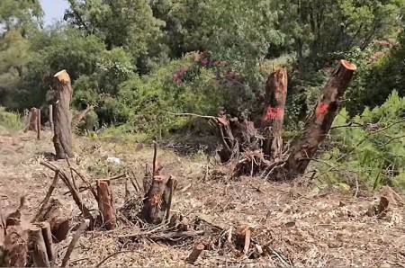 La renaturalización del río Guadaiza en San Pedro arranca llena de polémica