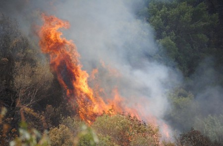 La Guardia Civil detiene al presunto autor de seis incendios forestales en Málaga