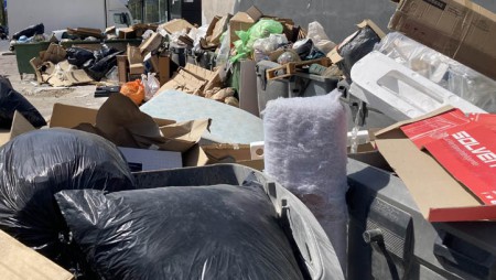 Empresarios piden más limpieza en el polígono industrial de Marbella