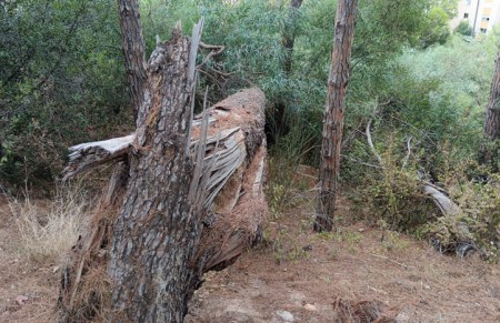 IU denuncia el abandono del parque del Pecho de las Cuevas en Marbella